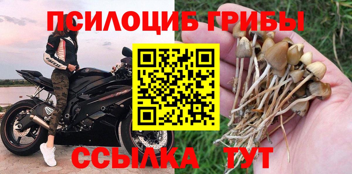 Галлюциногенные грибы прущие грибы Аргун
