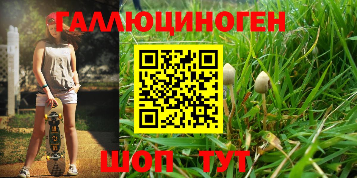 купить  цена  Псилоцибиновые грибы мухоморы  Вход с VPN  Аргун 